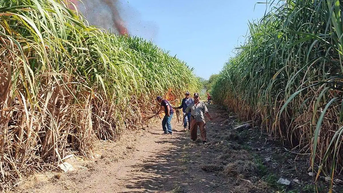 Los trabajadores deben cuidar que el fuego no alcance a otras parcelas